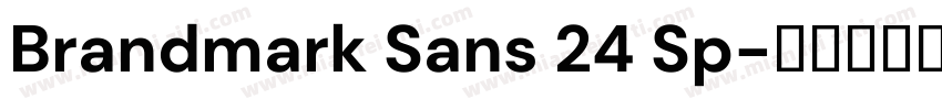 Brandmark Sans 24 Sp字体转换